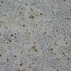 kashmir white 2